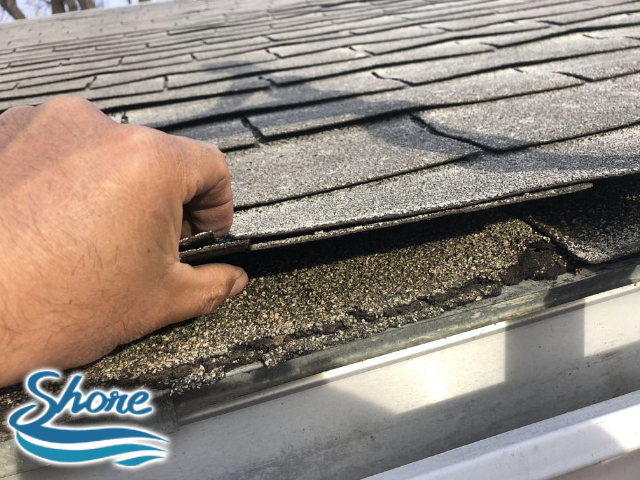 How to Remove Mold From Your Roof